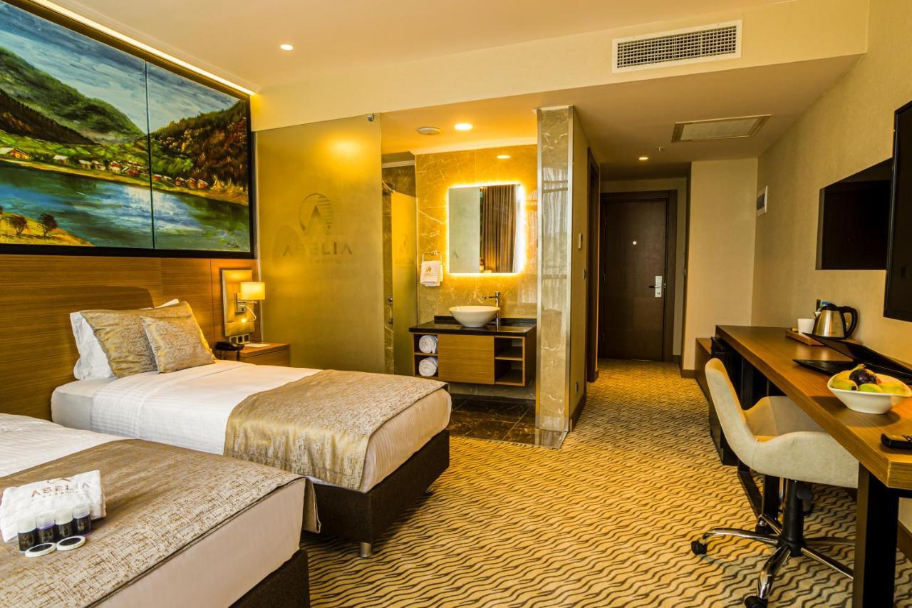 Hotel Aselia 4*