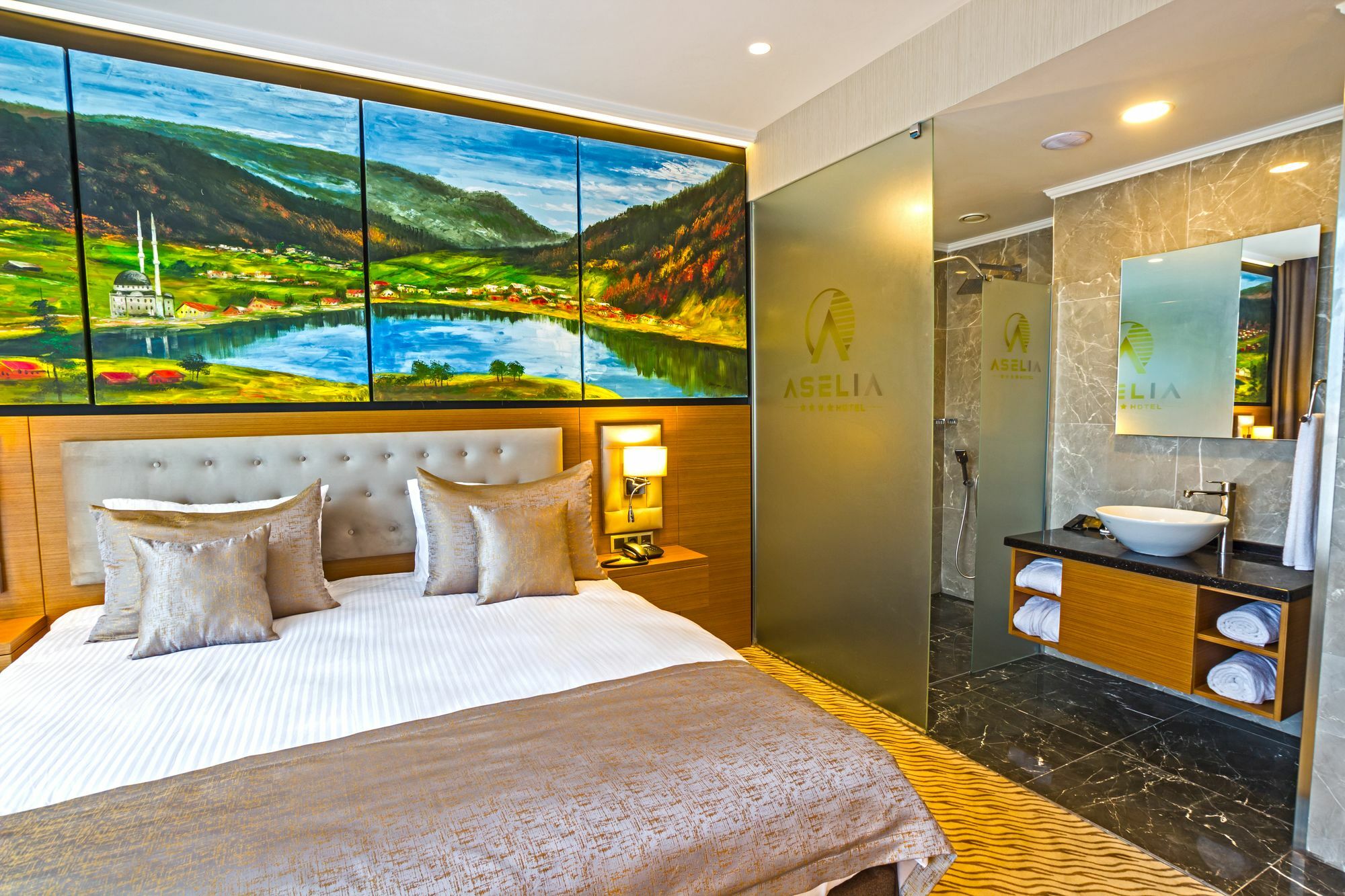 Hotel Aselia 4*